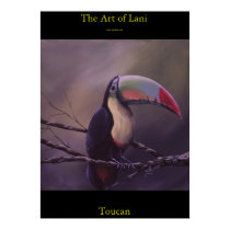 Toucan posters by lani444 Toucan posters