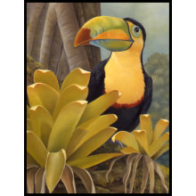 Toucan Stamp stamp