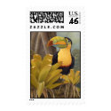 Toucan Stamp