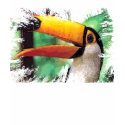 toucan t-shirts by redboy23 toucan t-shirts