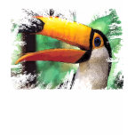 toucan