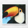 Toucan Waterpainting Mousepad
