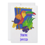 Toucan Window Perch Custom Announcements