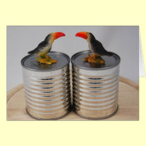 Toucans cards