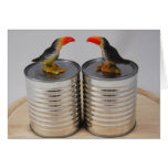 Toucans cards
