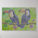 toucans posters