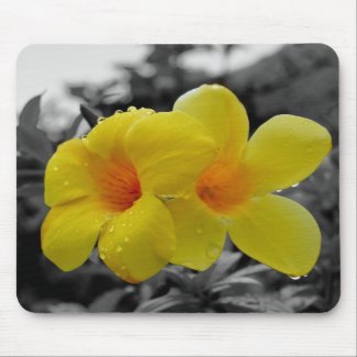 Touch of Color mousepad