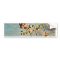 Touch of Magic  Dust From Oz bumper stickers