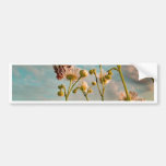 Touch of Magic  Dust From Oz Bumper Stickers