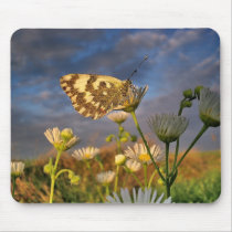 Touch of Magic Dust mousepads by patrickrp Touch of Magic Dust mousepads