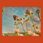 butterfly, flower, nature, macro, summer, green,