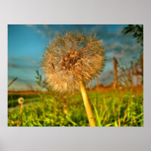 Touch of Magic Dust Print
