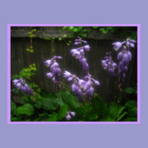 touch of purple posters