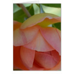 Touch of Romance Card