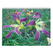 Touch of the Sun Daylilies II Wall Calendar