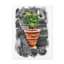 Touch Of Tuscany postcards
