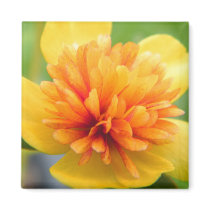 Touch Of Warmth magnets