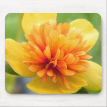 Touch Of Warmth mousepads