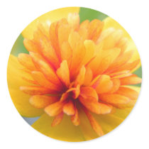 Touch Of Warmth stickers