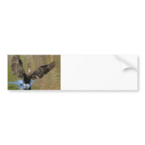 Touchdown! Bumper Sticker