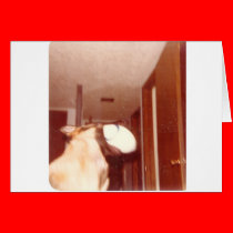Touchdown_Doggie cards