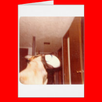 Touchdown_Doggie cards