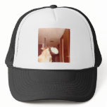 Touchdown_Doggie Trucker Hats
