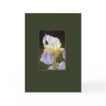 Touching Greeting Card