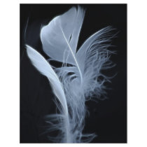 Touching feathers flyer design