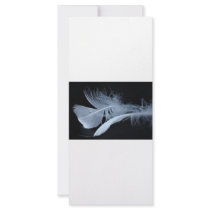 Touching feathers rack card design