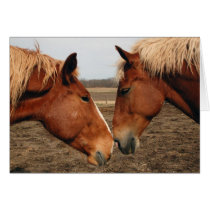 Touching noses card