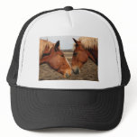 Touching noses hat