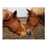 Touching noses postcards