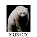 Tough Bear t-shirts by ToughOx Tough Bear t-shirts
