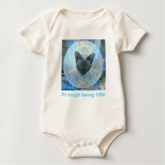 Tough Being LIttle, Kitten with a Collar shirt