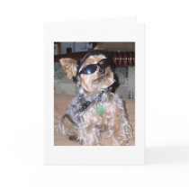Tough Dog cards