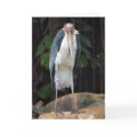Tough Old Bird Birthday Card