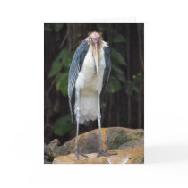 Tough Old Bird Birthday Card
