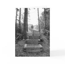 Tough Path cards