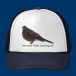 Tough Robin hats