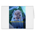 tough times: puppy cards