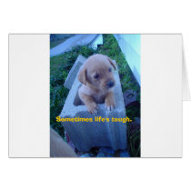 tough times: puppy cards