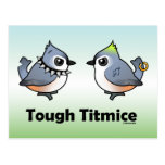 Tough Titmice Post Cards