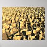 Tough Topography Poster
