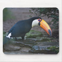 Toukan Mousepad by SabineSt Toukan Mousepad