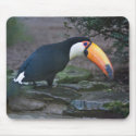 Toukan Mousepad