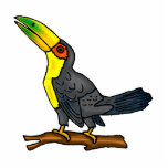 Toula Toucan Acrylic Cut Outs