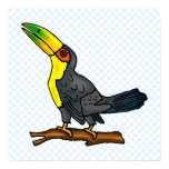 Toula Toucan Print