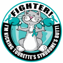 Tourette's Syndrome Cat Fighter photo sculptures