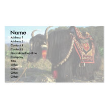 Tourist yak, Tibet Business Cards